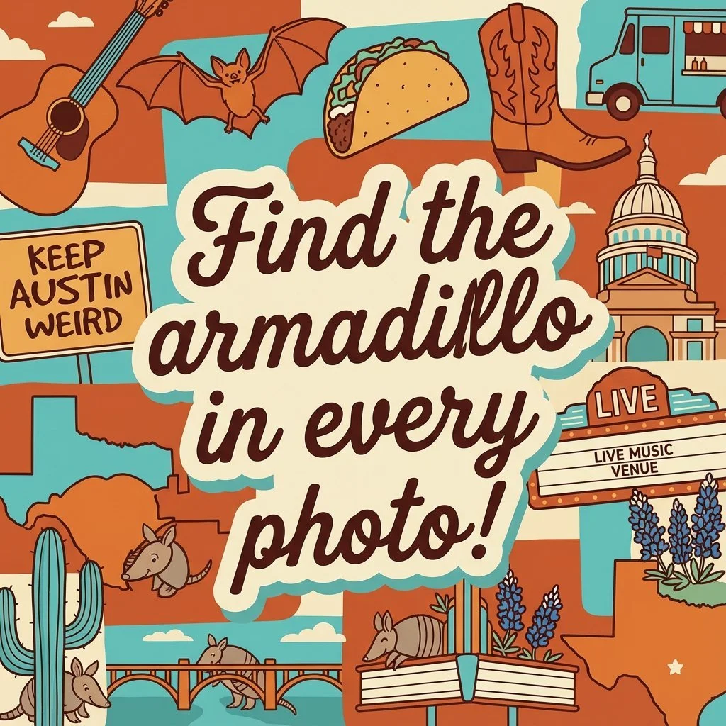 Find the armadillo